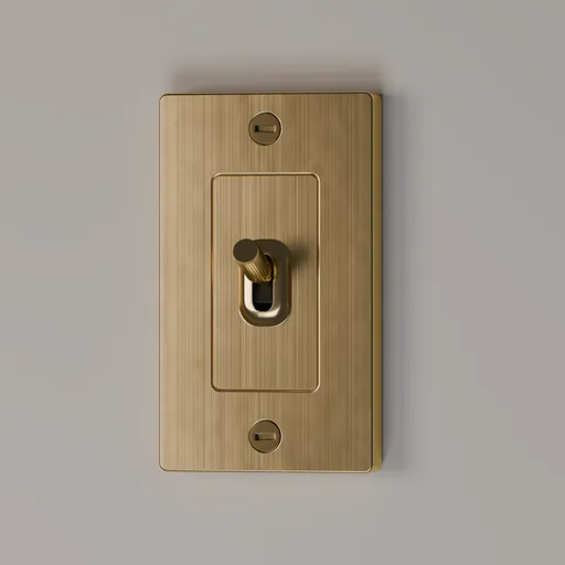 Toggle Switch