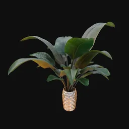 Decorative plant with vase