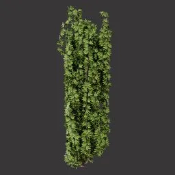 Realistic Hanging Vine Plant