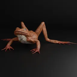 "Brown fantasy frog 3D model for Blender 3D software. Fully articulated and rigged, with a unique ring on its nose and legs. Inspired by Charles Maurice Detmold, this realistic reptile features a detailed body, clawed feet, and a meticulously rendered skin texture."