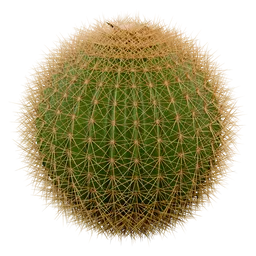 Procedural Cactus Material