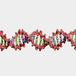 Dna