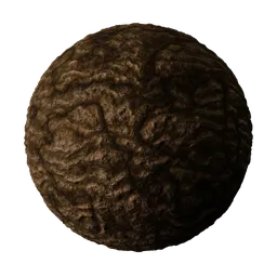 Sedimentary Rock