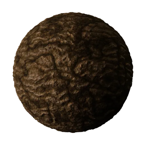Sedimentary Rock