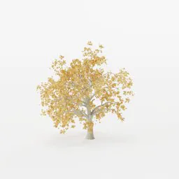 Detailed 3D rendering of a deciduous tree with golden autumn foliage, compatible with Blender for animation and visualization.
