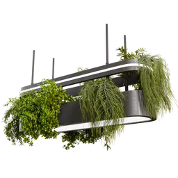 Pendant light with plants