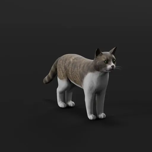 Cat rigged