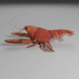 Lobster