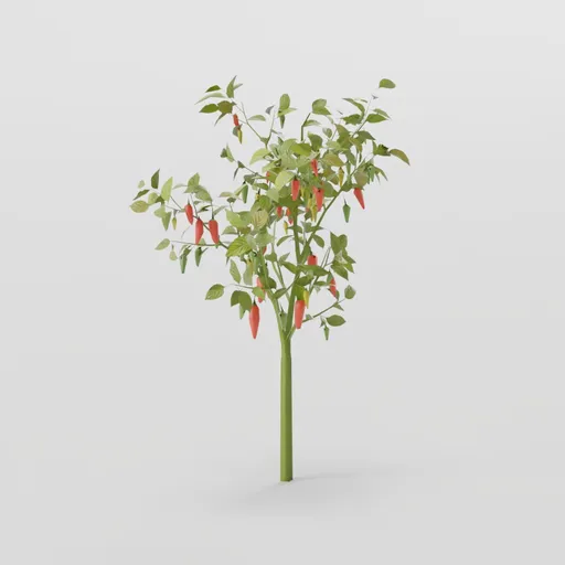 Thin Pepper Plant