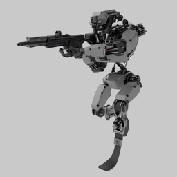 Humanoid Robot