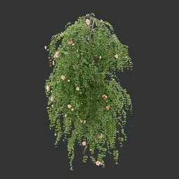 Single Wall Hanging Plant