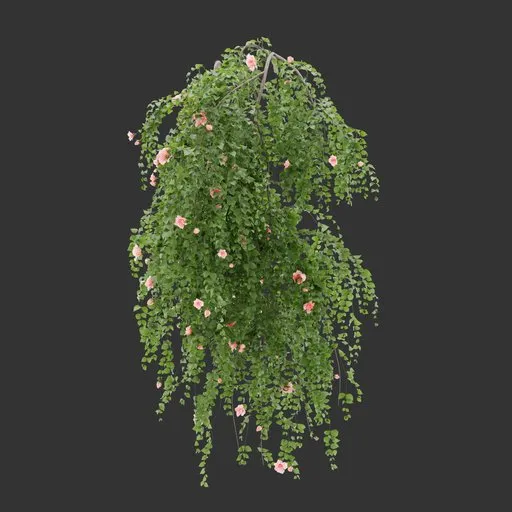 Single Wall Hanging Plant