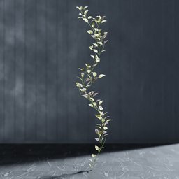 "Artificial garland Tradeskancia 3D model for nature indoor category in Blender 3D software. Geomtery nodes created with Bagapie addon for easy editing and scaling. Realistic depiction of a small plant in a vase on a table with branching hallways and full growth."