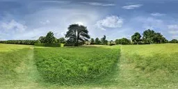 Vivid HDR image of sprawling green grass with a large tree under a blue sky, perfect for realistic scene lighting.