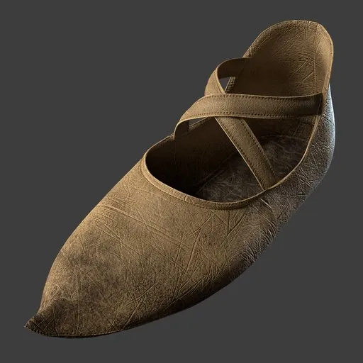 Shoe