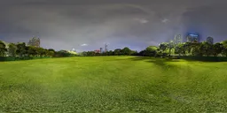 Green grass at night