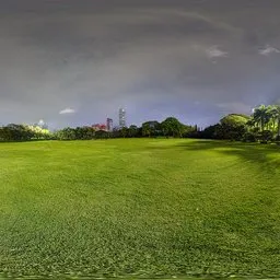 Green grass at night