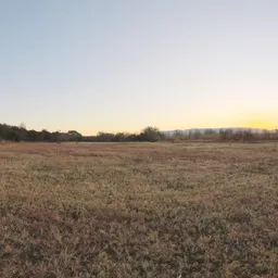 Magalies Field Sunset