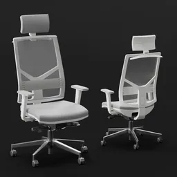 Ergonomic Mesh Office Chair