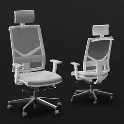 Ergonomic Mesh Office Chair