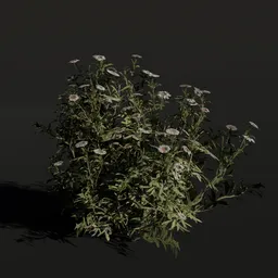 Detailed 3D model of flowering aster shrub, compatible with Blender, ideal for digital landscaping.