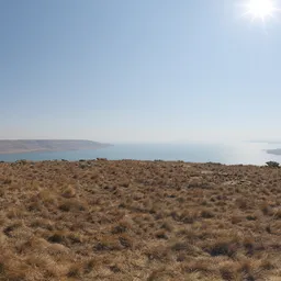 Qwantani Mid Morning