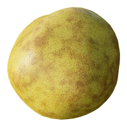 Pear (fruit shader)