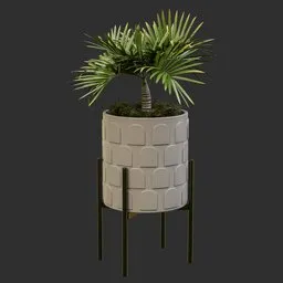 Stand and Palm