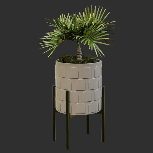 Stand and Palm