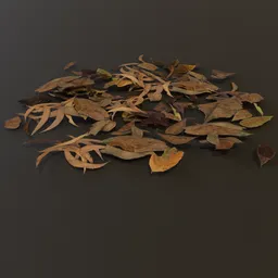 Debris Dry Leaves Pile Med