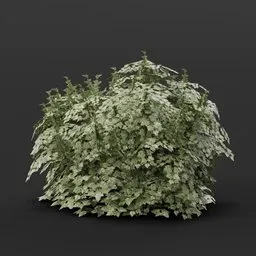 3D model of a leafy, realistic cranberry bush without flowers for Blender, ideal for game assets and virtual environments.