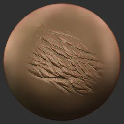 ER_Dragon Brush Roughback Lines