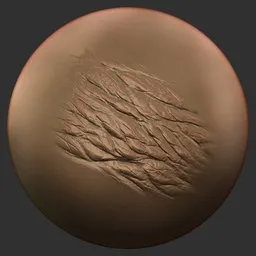 ER_Dragon Brush Roughback Lines