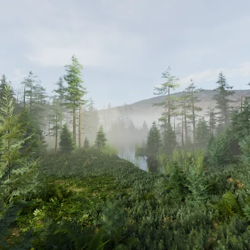 Misty Pond in Forest Day