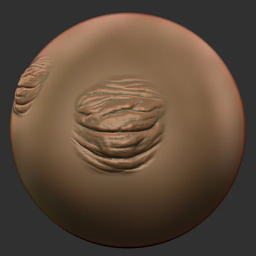 ER_Human Skin(C) 15
