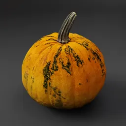 Pumpkin