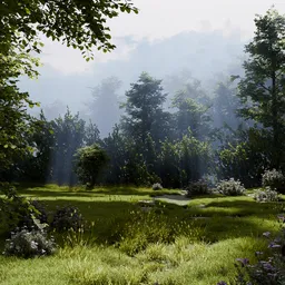 Forest Dawn