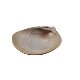 River Shell