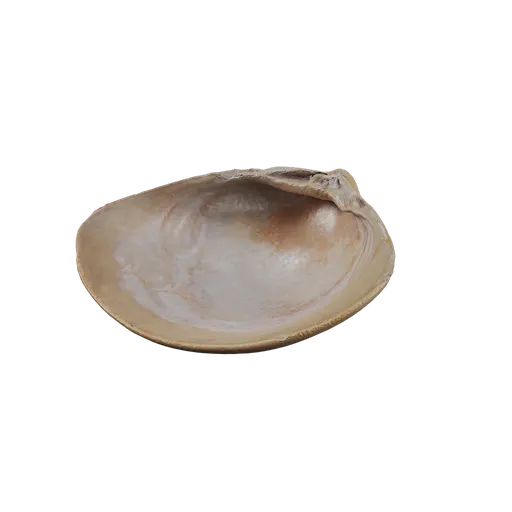 River Shell