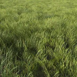Realistic optimized 3D model of dense green grass, perfect for game environments and animations, compatible with Blender.