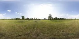 High-resolution HDR image of a sunny grass field with realistic lighting for 3D scenes, including dynamic range for shadows.