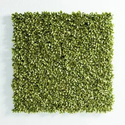 "Fitowall Laurel artificial wall panel with square planter and endless grass, inspired by real products and created in Blender 3D with Bagapie addon. Features geometric nodes and proxies for enhanced performance. Perfect for modern Renaissance style wall art and installations."