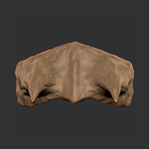 Lower Jaw Plate