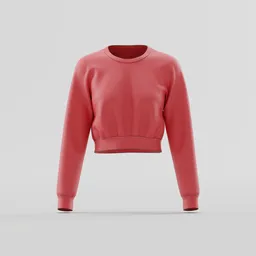New Cropped Sweatshirt