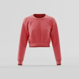 New Cropped Sweatshirt