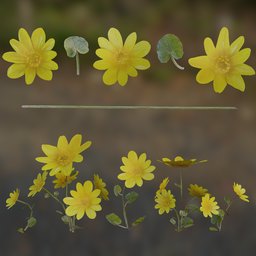 Yellow Flower Low Poly