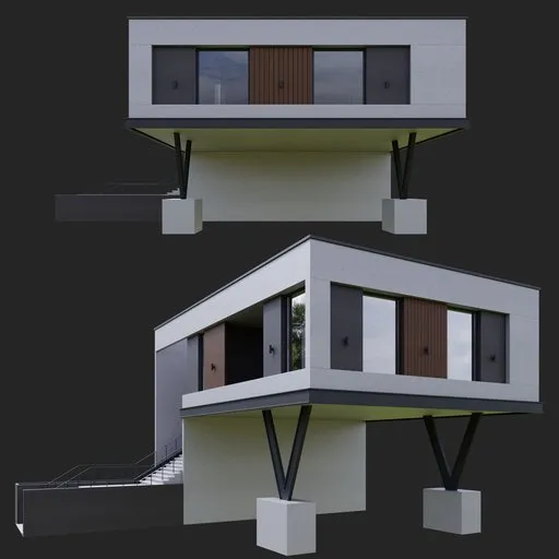 Modern Wooden House
