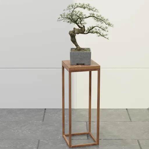 Windswept Pine Bonsai
