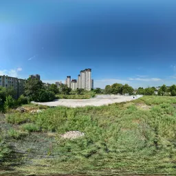 Green grass tree bluesky cloud