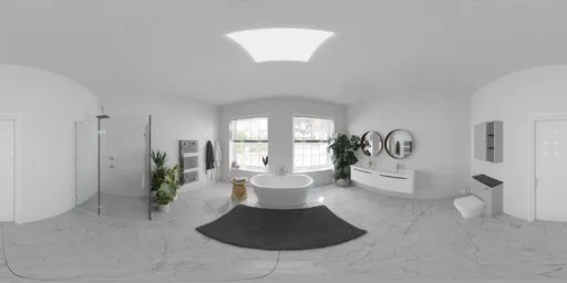Big Bathroom Day